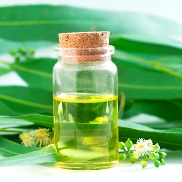 Eucalyptus Oil